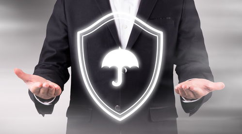 赋能增长 软件开发公司如何成为企业发展的核心驱动力